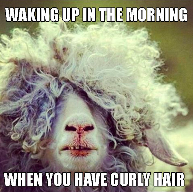 Curly hair problems