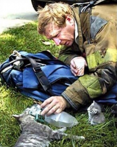 Heartwarming pictures showing humanity